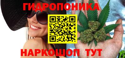 молекула духа Гусиноозёрск
