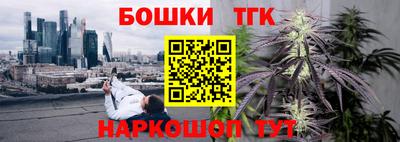 spice Гусев