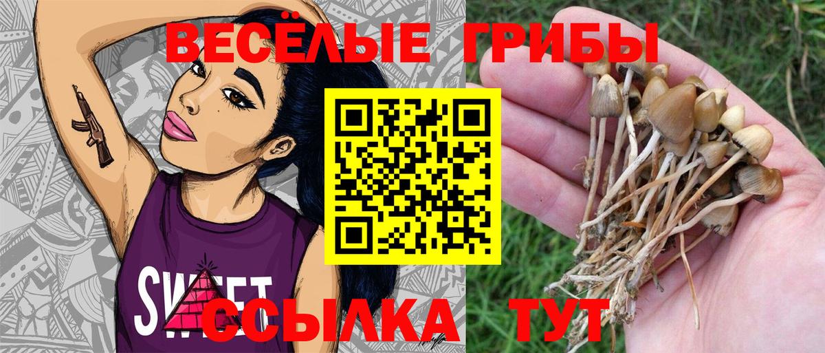 Псилоцибиновые грибы MAGIC MUSHROOMS Елабуга