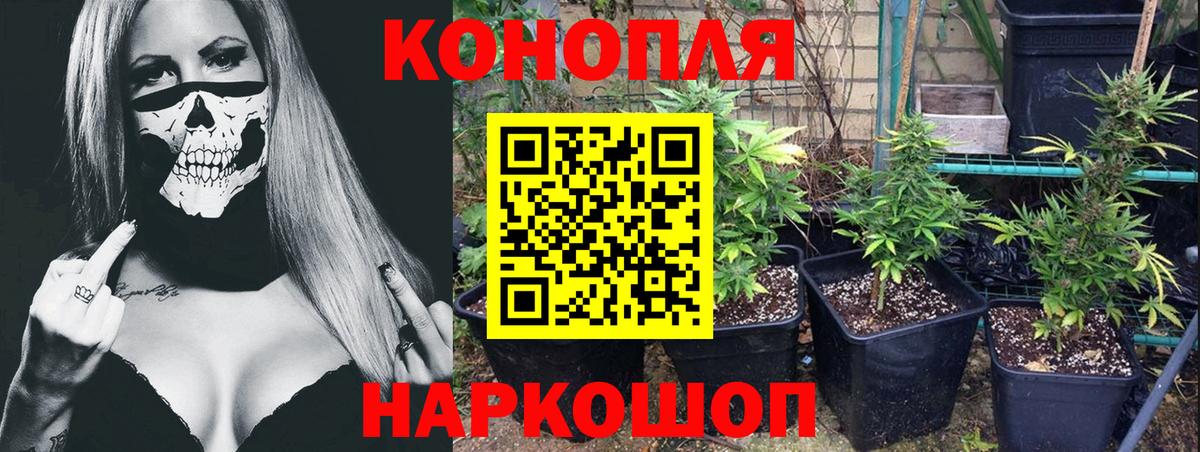 Каннабис марихуана Елабуга